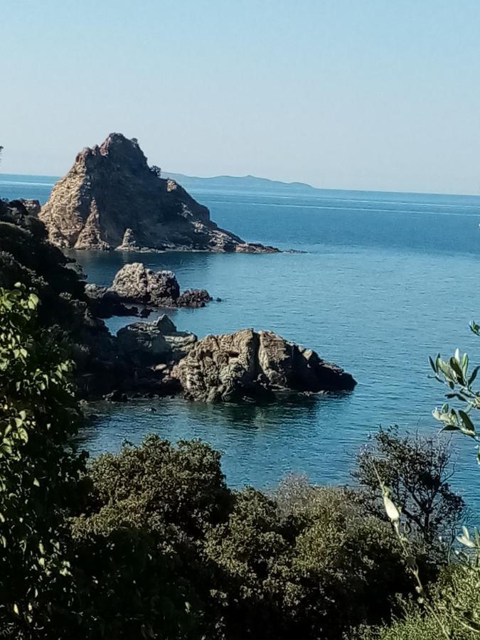 Laetitia Leilighet Porto Santo Stefano  Eksteriør bilde